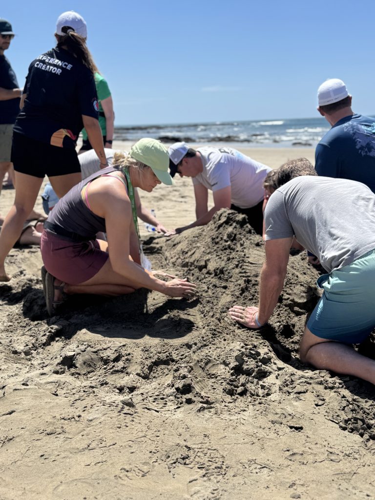 Team members working together to shape a sand sculpture during a sand sculpting team building event on the beach.